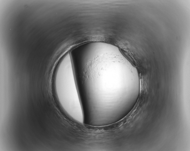 X0000093750243200710160816