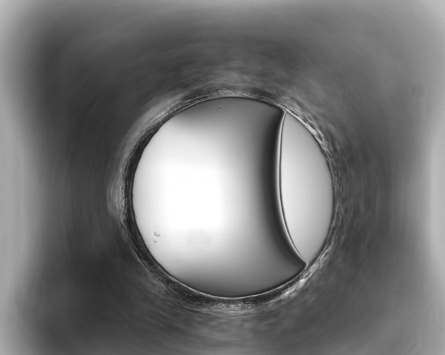 X0000093750245200710160816