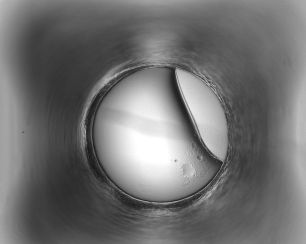 X0000093750246200710160816