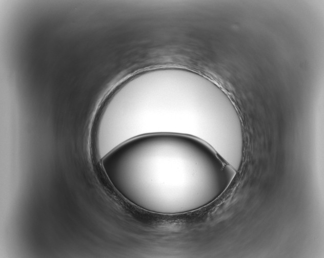 X0000093750248200710160816