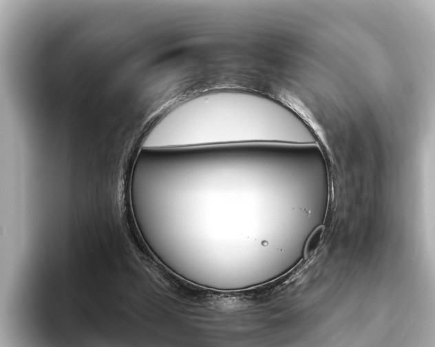 X0000093750249200710160816
