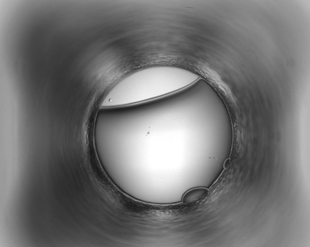 X0000093750250200710160816