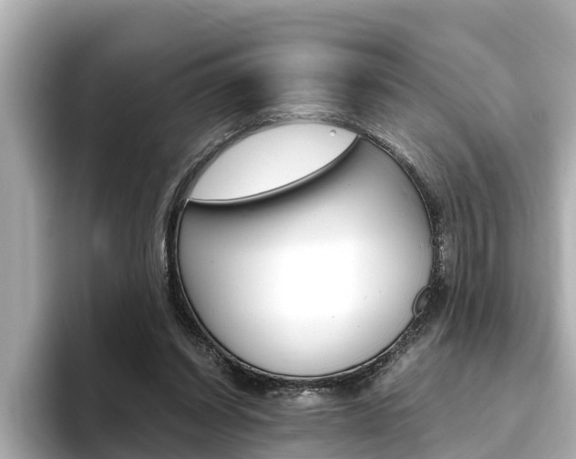 X0000093750254200710160816