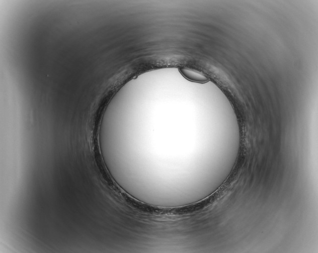 X0000093750258200710160816