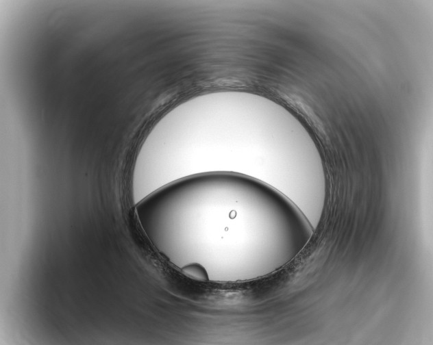 X0000093750260200710160816