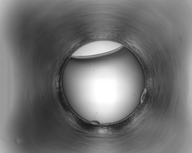 X0000093750264200710160816