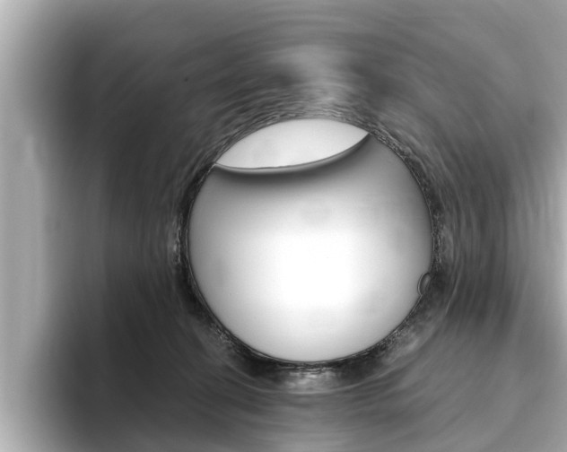 X0000093750274200710160816