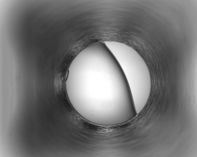 X0000093750276200710160816