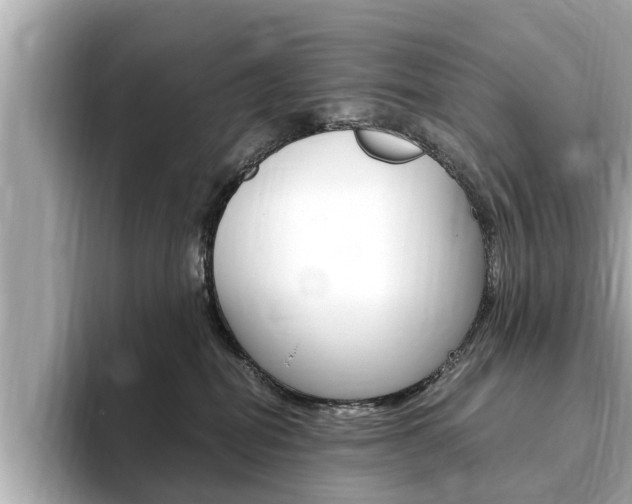 X0000093750282200710160816