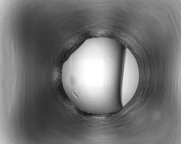 X0000093750284200710160816