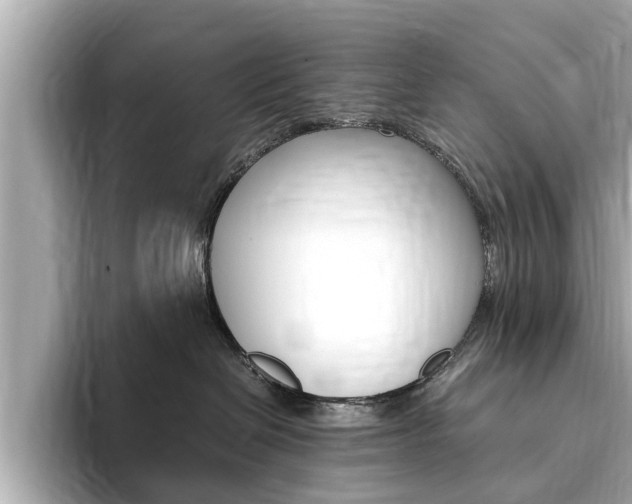 X0000093750286200710160816