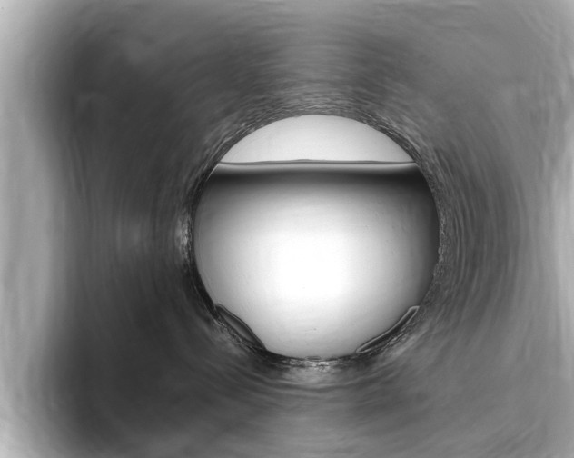 X0000093750288200710160816