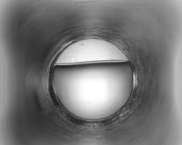 X0000093750291200710160816