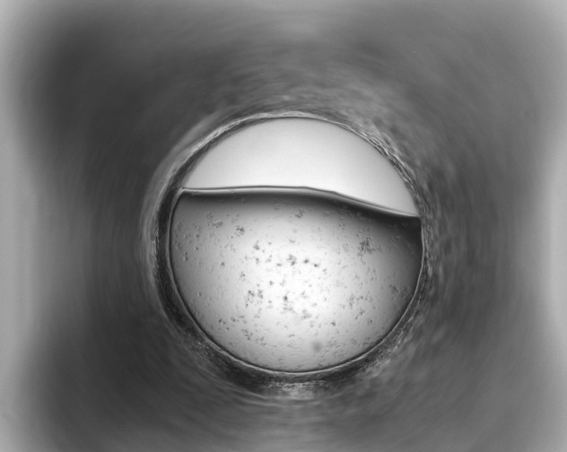 X0000093750295200710160816