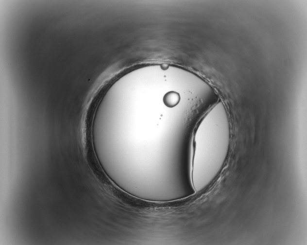 X0000093750296200710160816