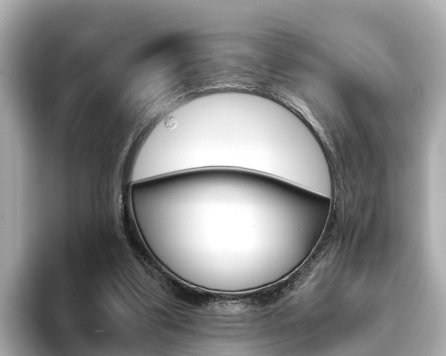 X0000093750299200710160816