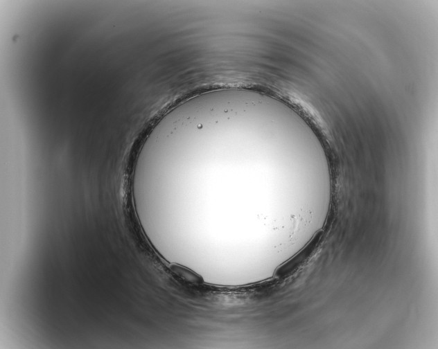 X0000093750305200710160816