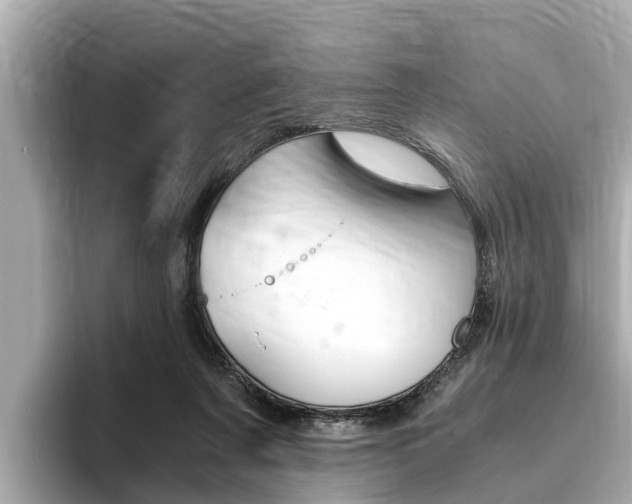 X0000093750311200710160816