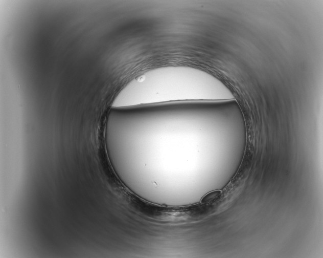 X0000093750319200710160815