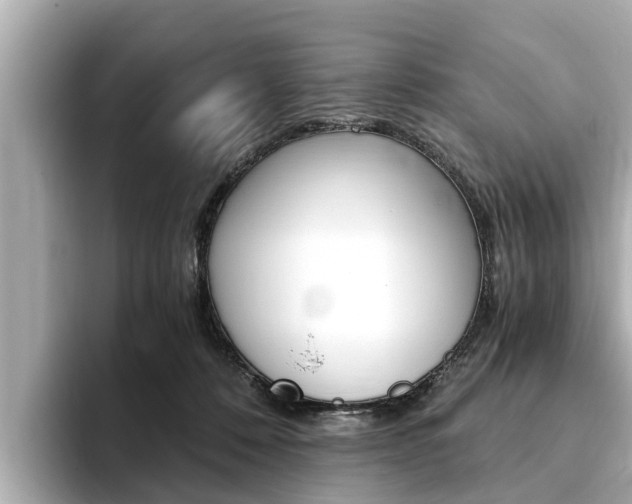 X0000093750320200710160815