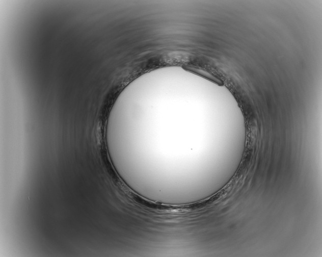 X0000093750323200710160815