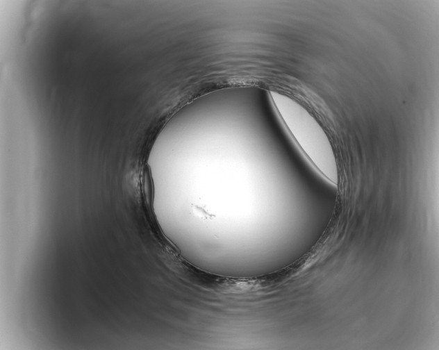 X0000093750329200710160815
