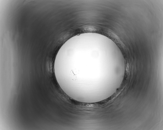 X0000093750330200710160815