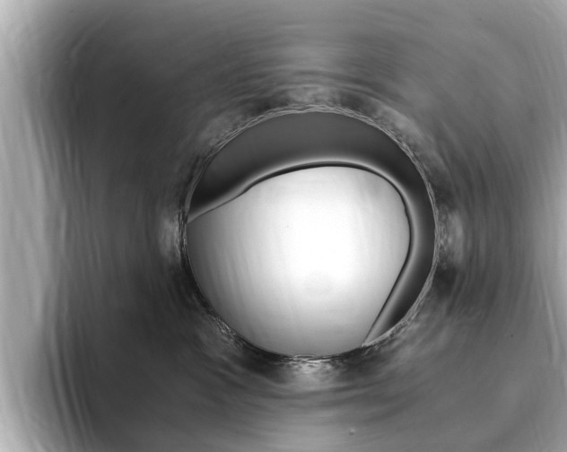X0000093750333200710160815