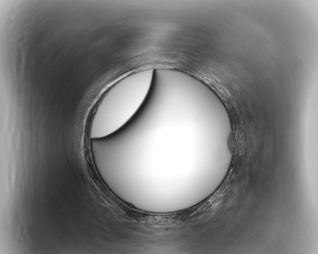 X0000093750338200710160815