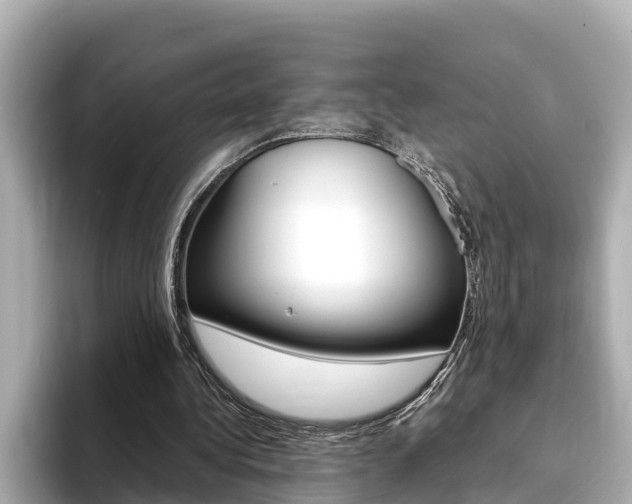 X0000093750340200710160815
