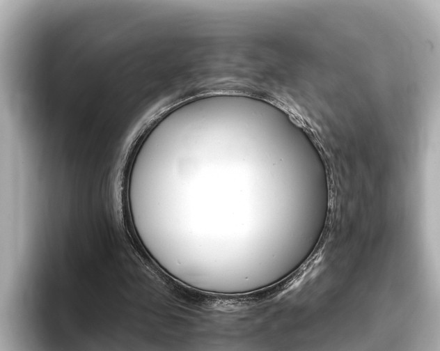 X0000093750341200710160815