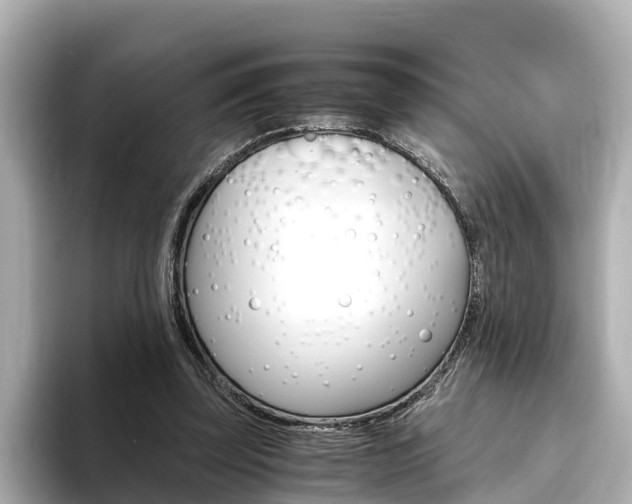 X0000093750347200710160815
