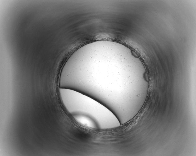 X0000093750353200710160815