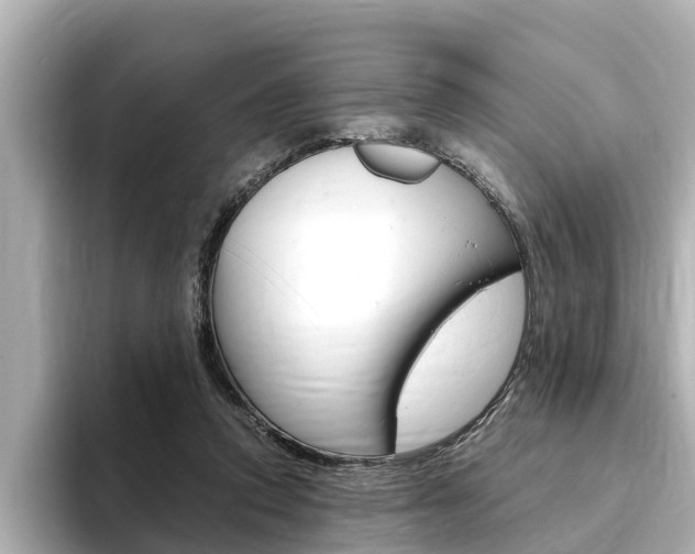 X0000093750354200710160815