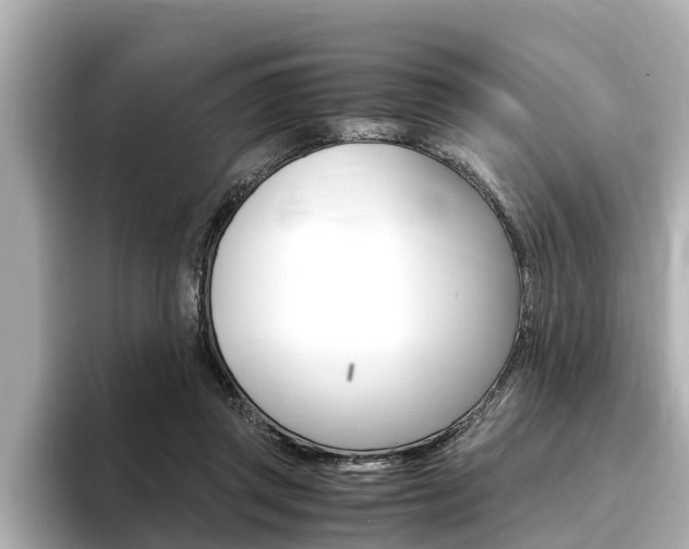 X0000093750357200710160815