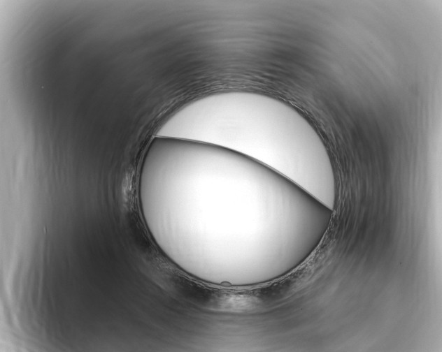 X0000093750360200710160815