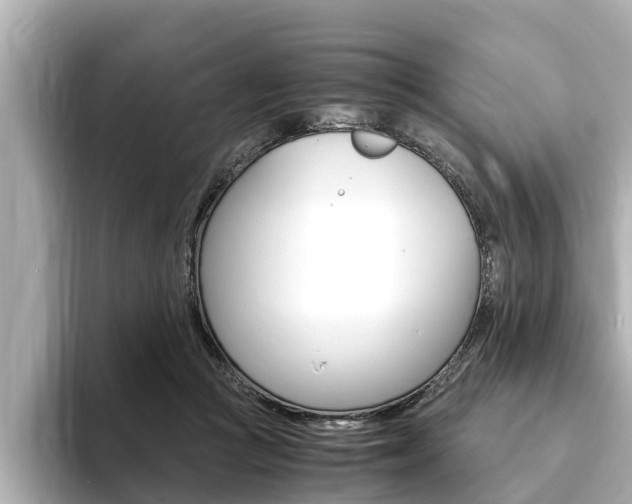 X0000093750361200710160815