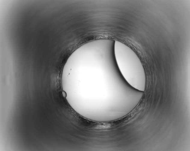 X0000093750369200710160815