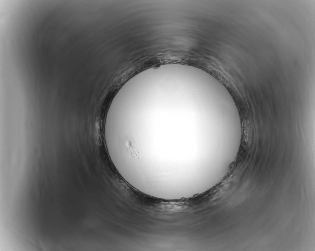 X0000093750378200710160815