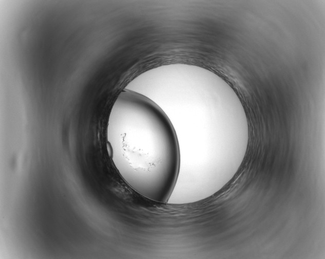 X0000093750382200710160815