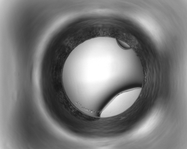 X0000093750383200710160815