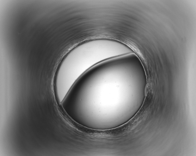 X0000093750389200710160814