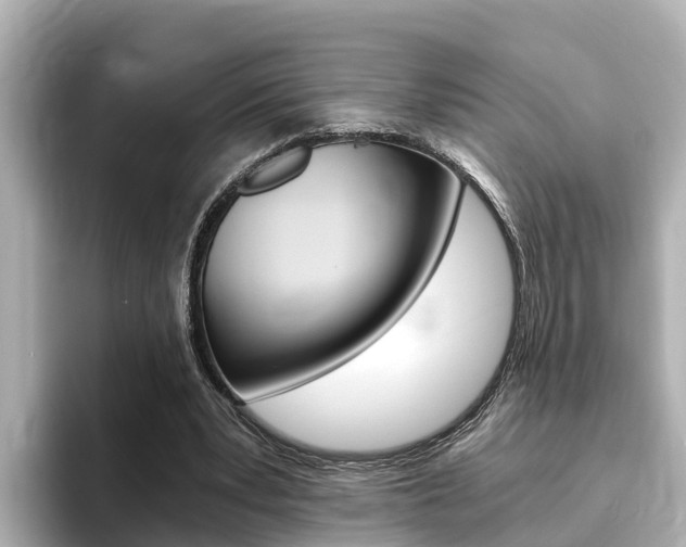 X0000093750391200710160814