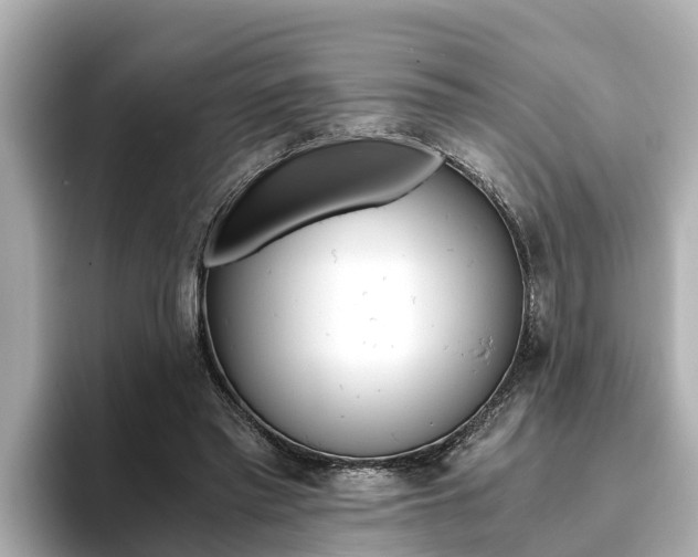 X0000093750397200710160814