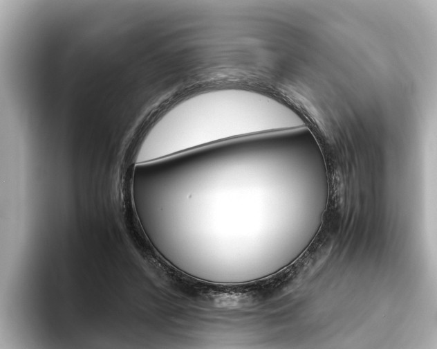 X0000093750400200710160814