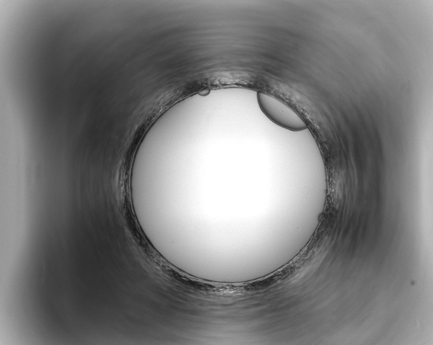 X0000093750402200710160814