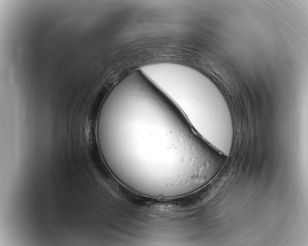X0000093750408200710160814
