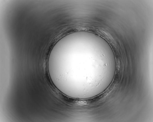 X0000093750409200710160814