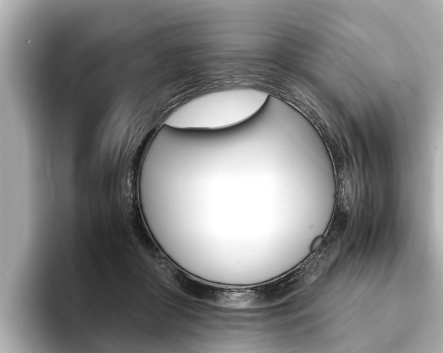 X0000093750410200710160814