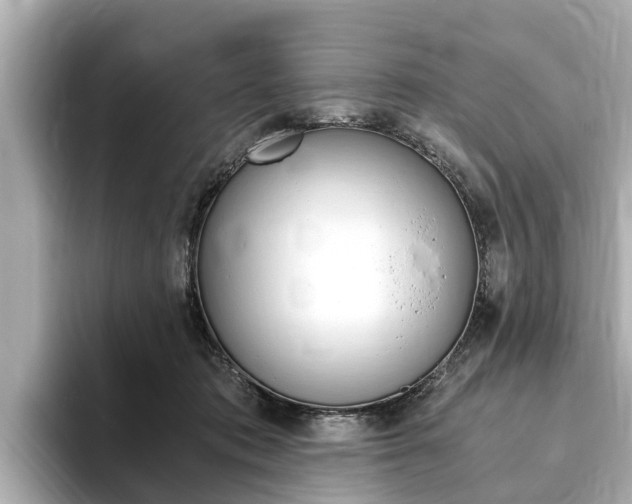 X0000093750413200710160814